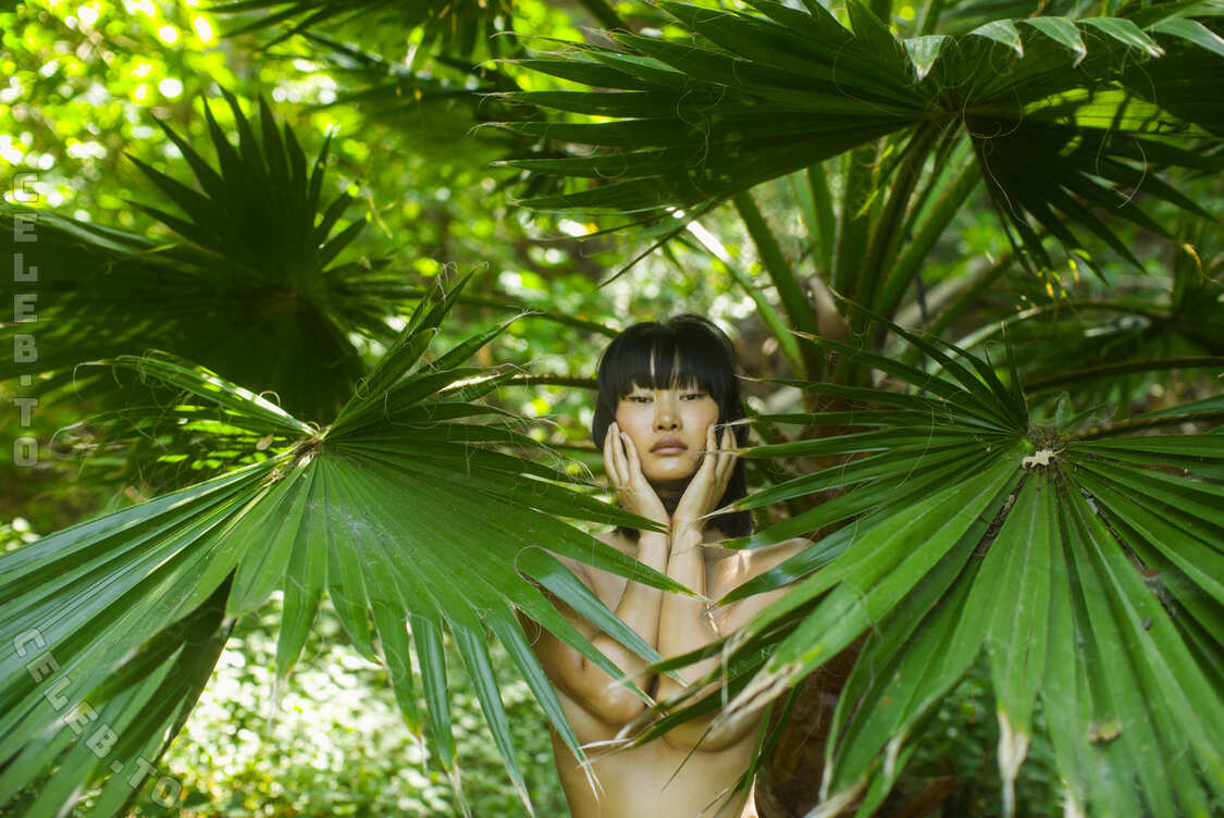 Miki Hamano nude photo 5