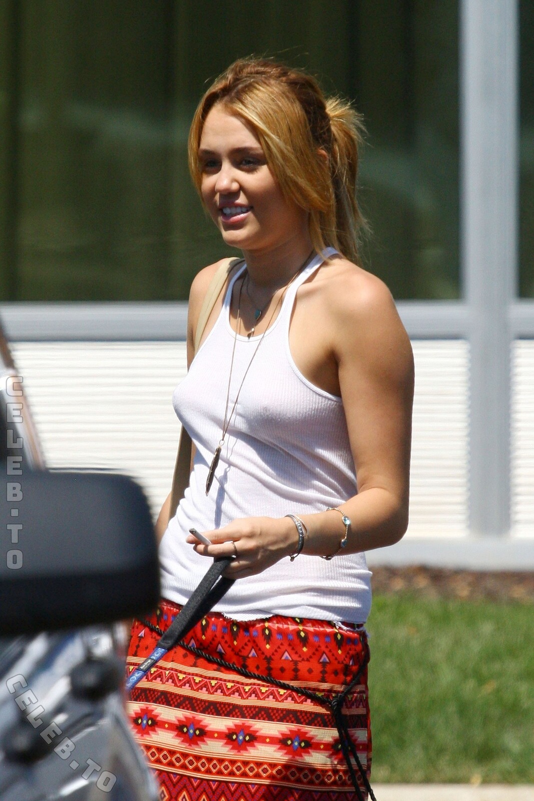 Miley Cyrus nude photo 2
