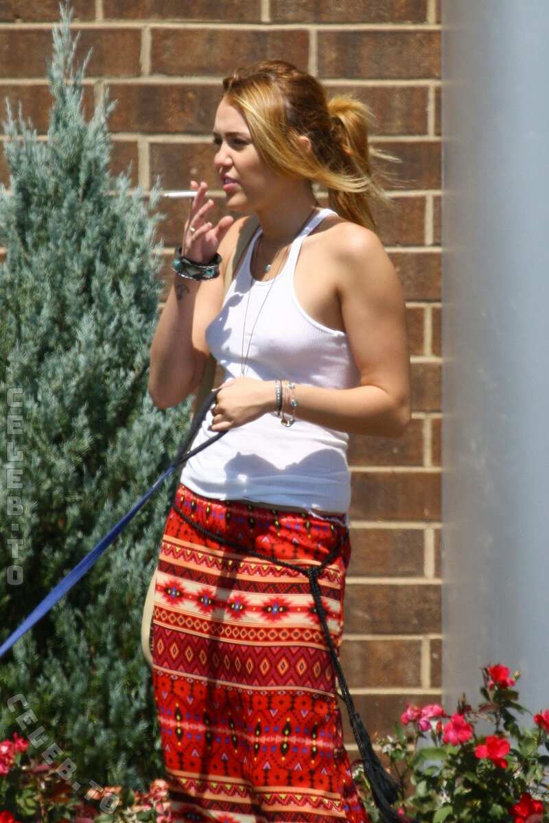 Miley Cyrus nude photo 10
