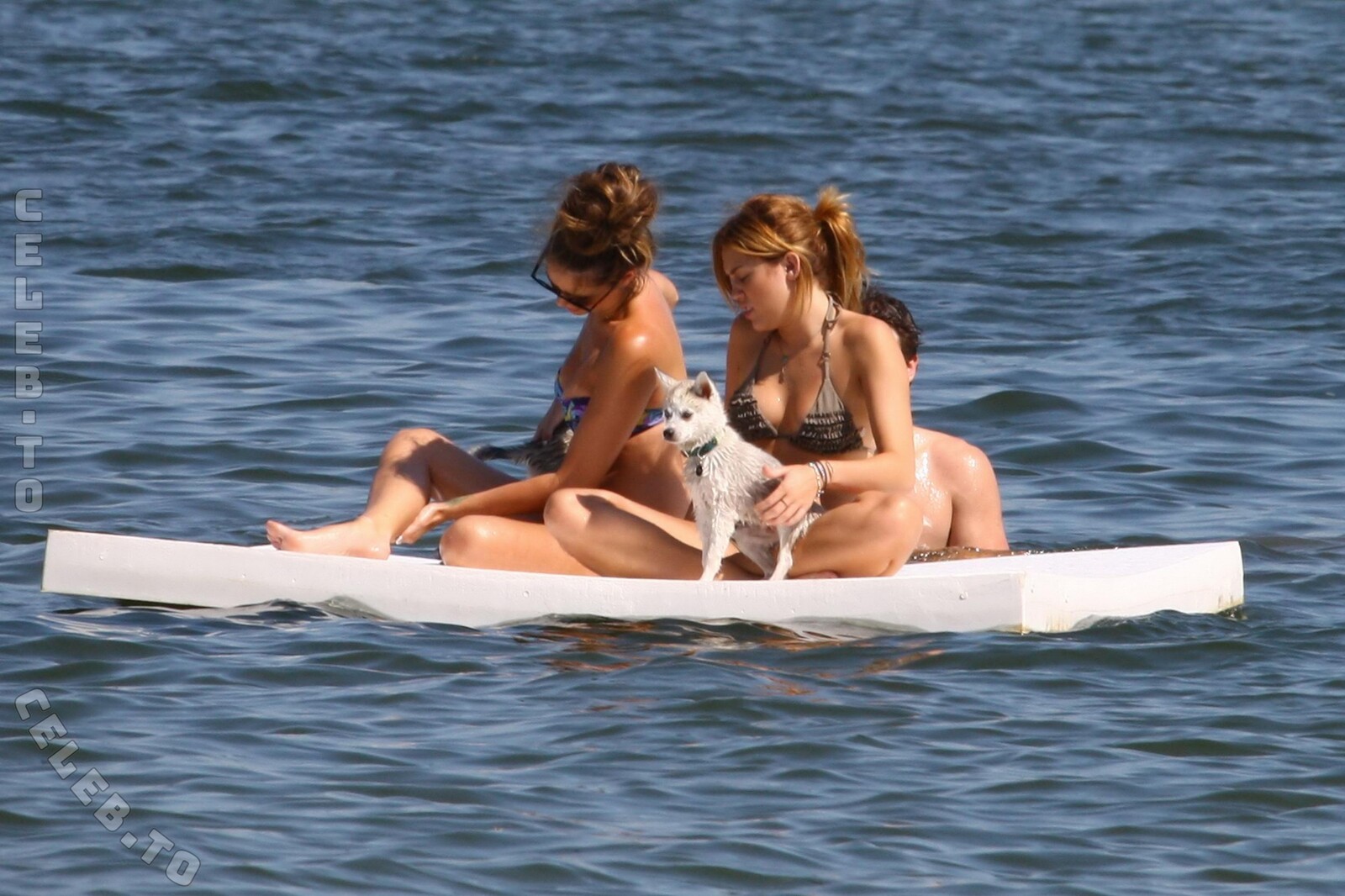 Miley Cyrus nude photo 10