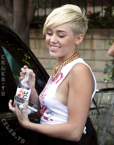 Miley Cyrus nude photo 12