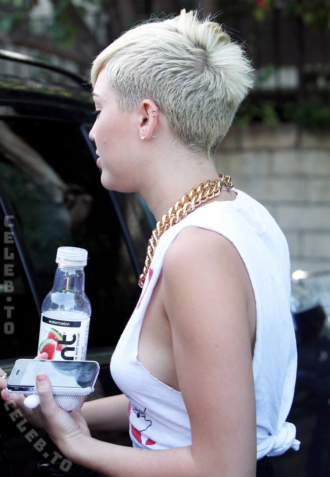 Miley Cyrus nude photo 8