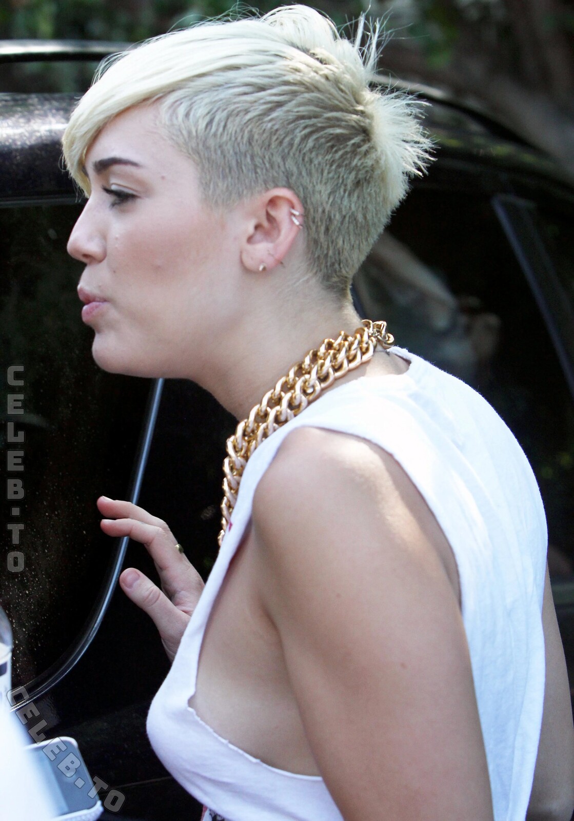 Miley Cyrus nude photo 11