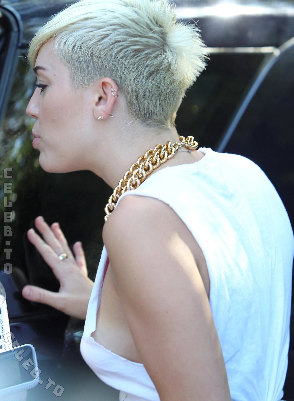 Miley Cyrus nude photo 12