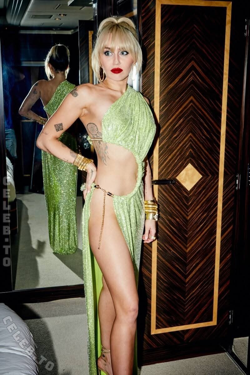 Miley Cyrus nude photo 2
