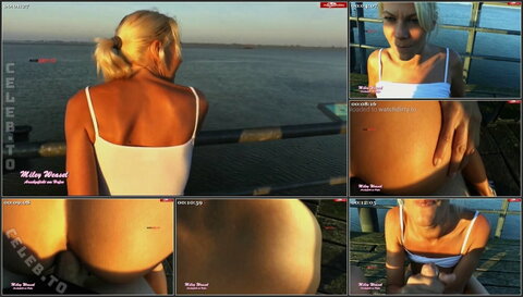 Miley Weasel nude photo 31