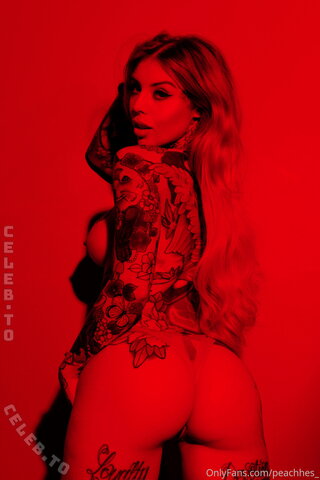 Miss Peach nude photo 23
