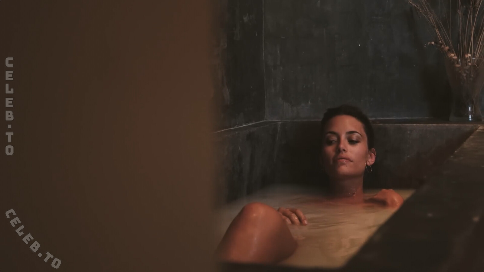 Musikvideos nude photo 5