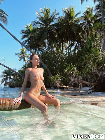 Nancy Ace nude photo 26