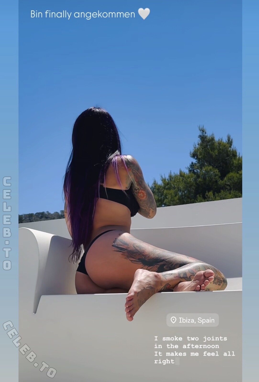 Nancy Mietzi nude photo 1
