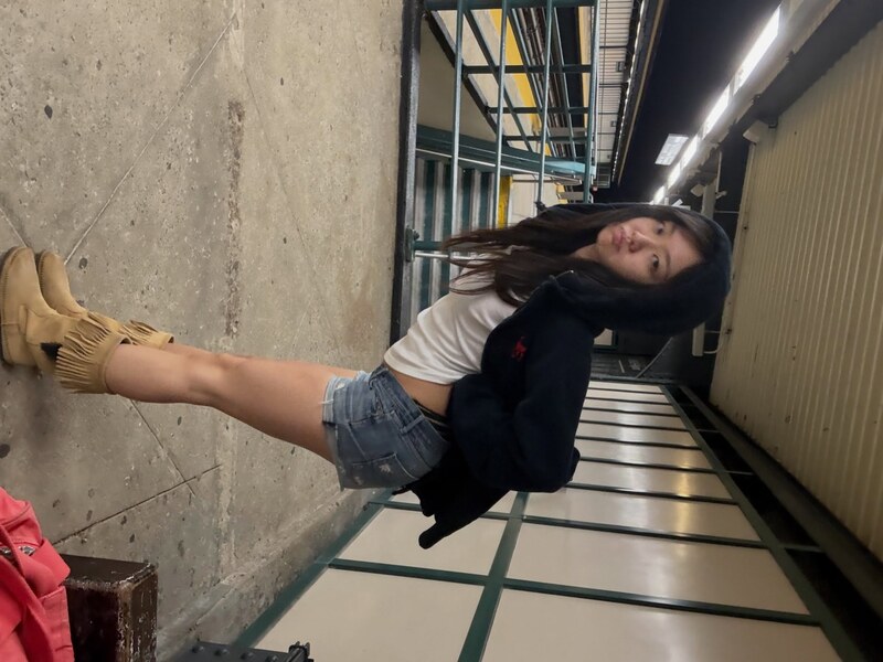 Nara Shin nude photo 3
