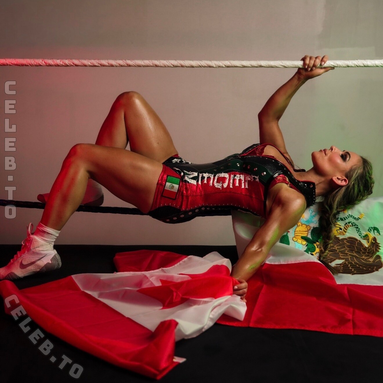 Natalya Neidhart nude photo 2