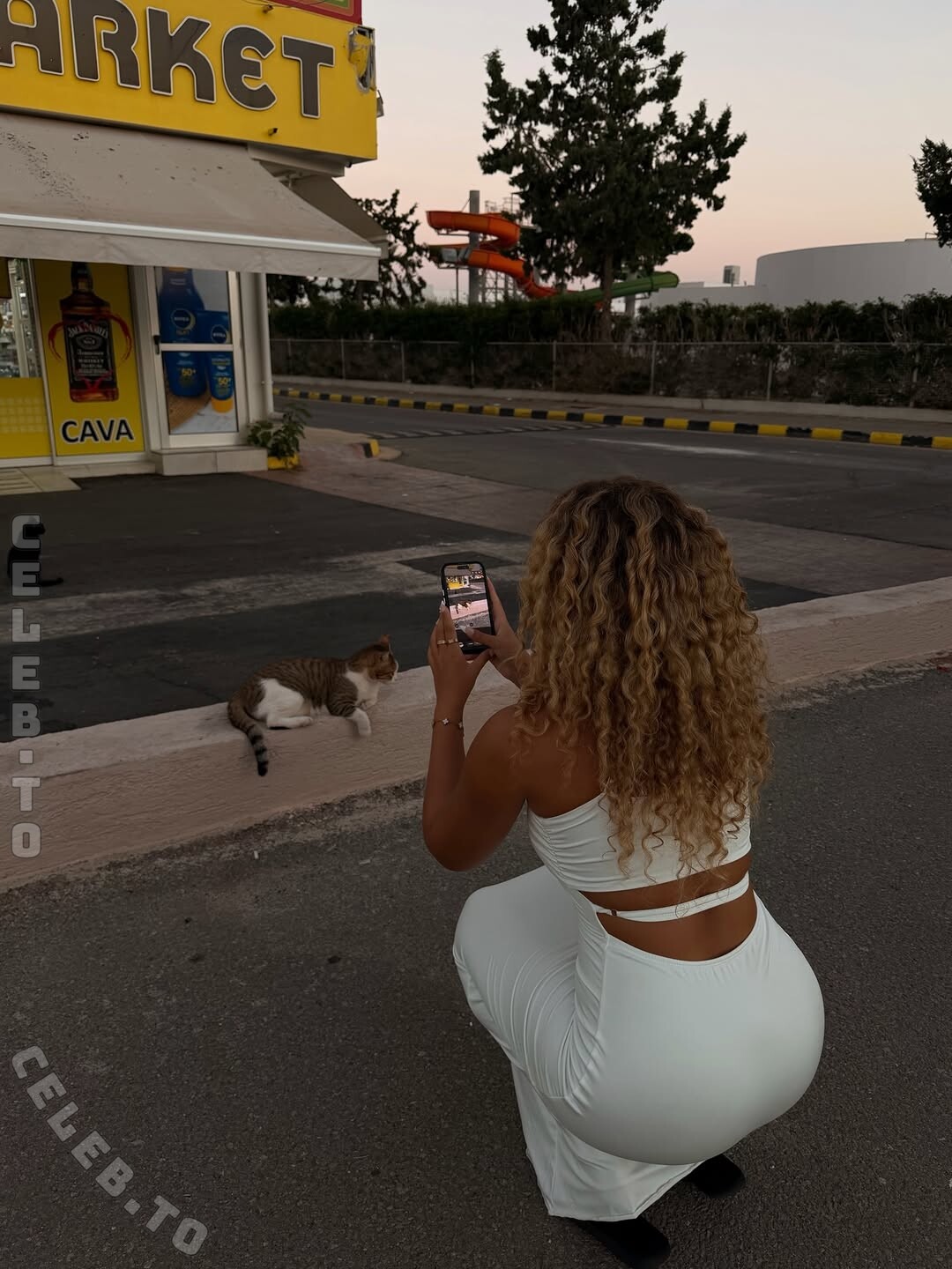 Nevine nude photo 6