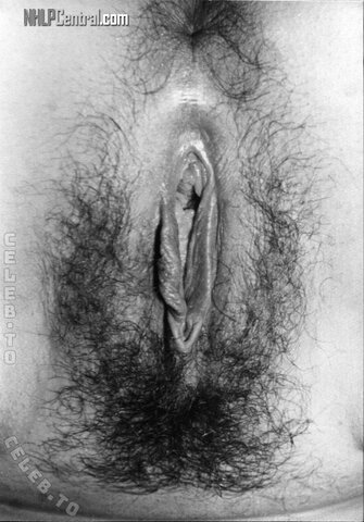 nhlpcentral nude photo 16