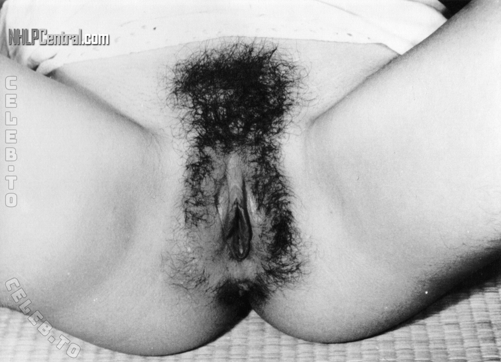 nhlpcentral nude photo 20
