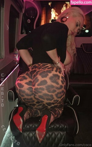 Nicole Coco Austin Hot (5 photos)