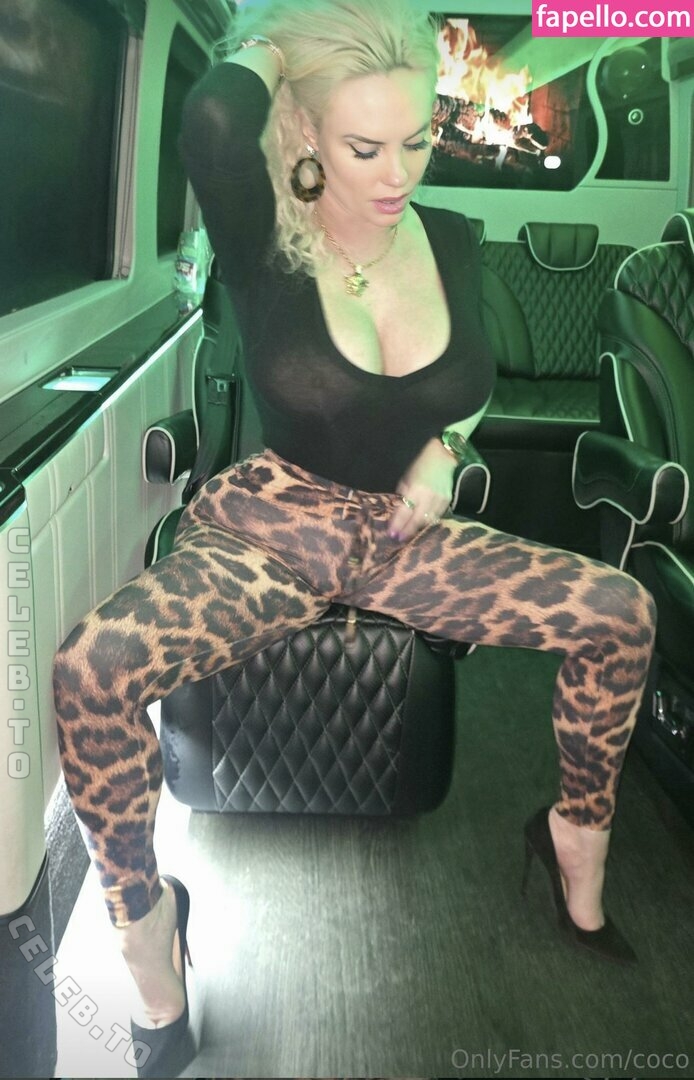 Nicole Coco Austin nude photo 4