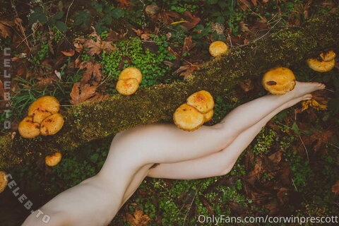 Nicole Vaunt photo 4