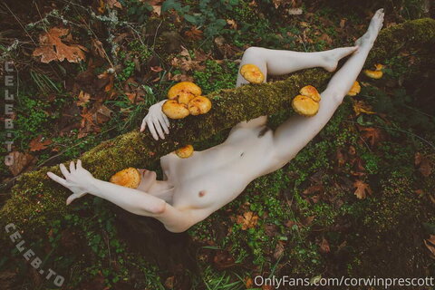 Nicole Vaunt photo 5