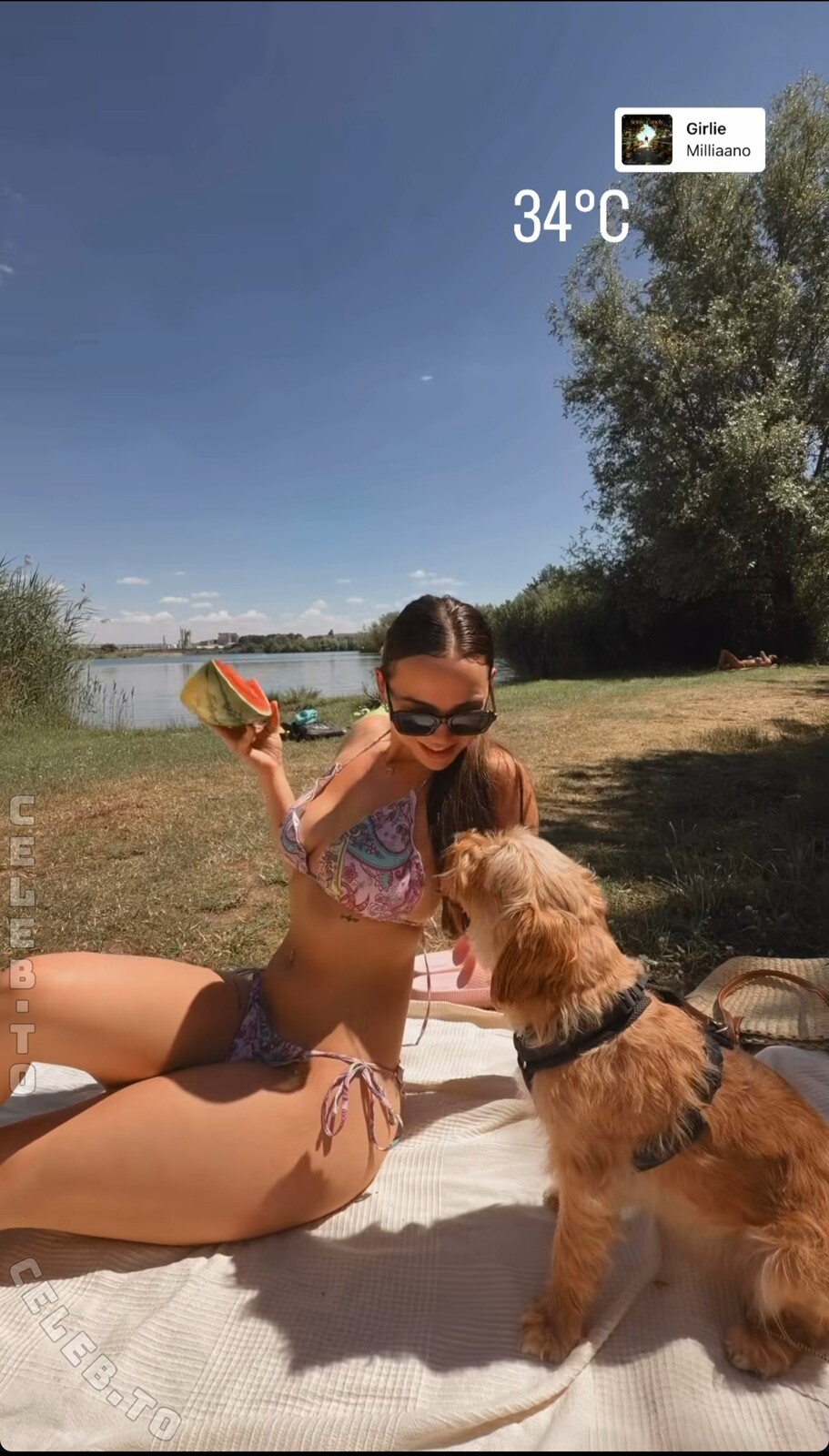 Nika Sofie nude photo 2