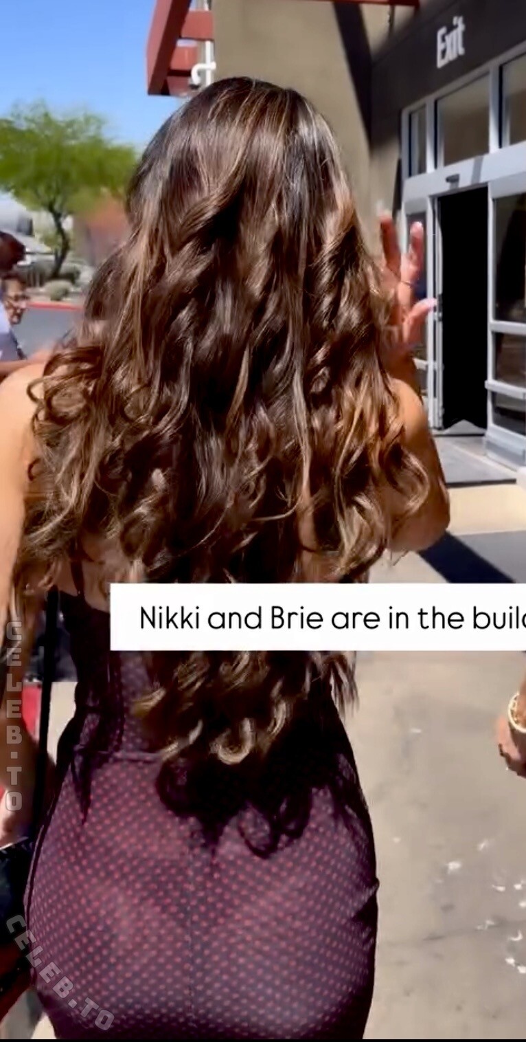 Nikki Bella nude photo 2