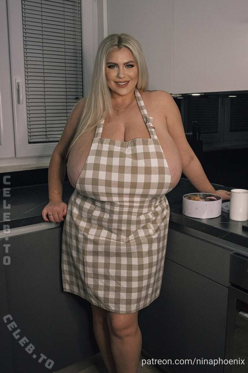 Nina Phoenix nude photo 1