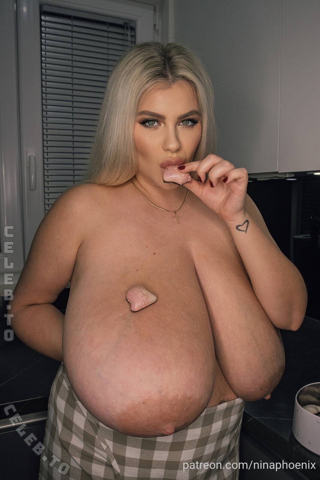 Nina Phoenix nude photo 5