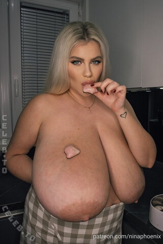 Nina Phoenix nude photo 19