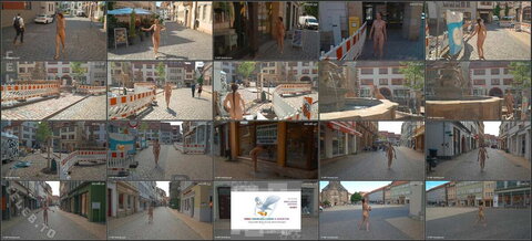 Nude in Public photo 1