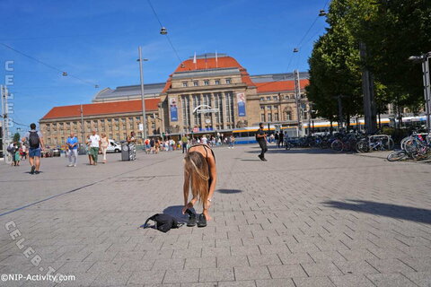 Nude in Public nude photo 186