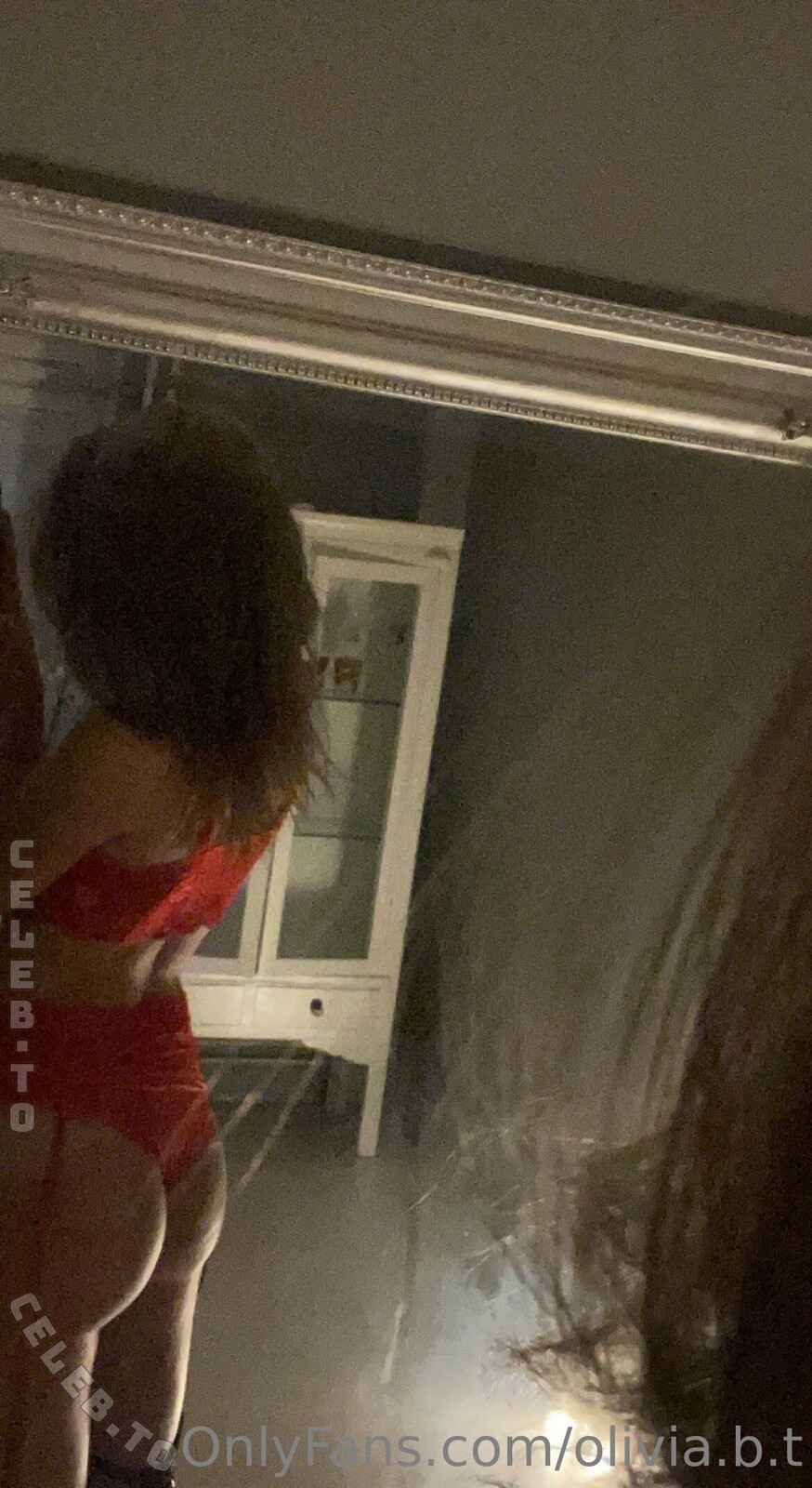 Olivia Tollesson nude photo 3