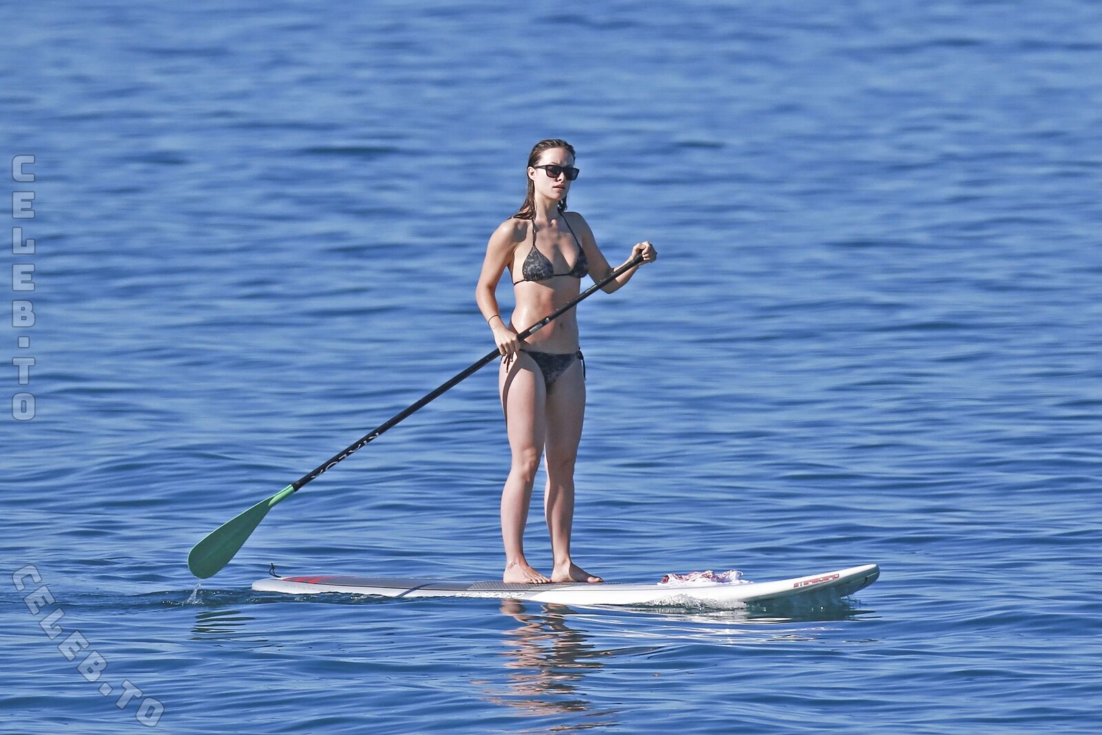 Olivia Wilde nude photo 2