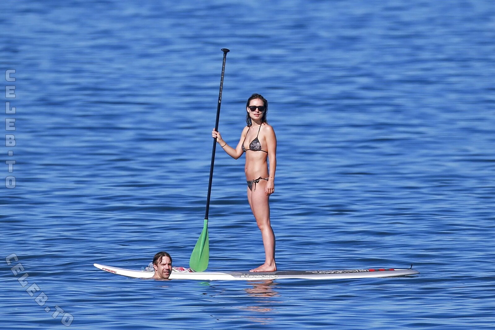 Olivia Wilde nude photo 3