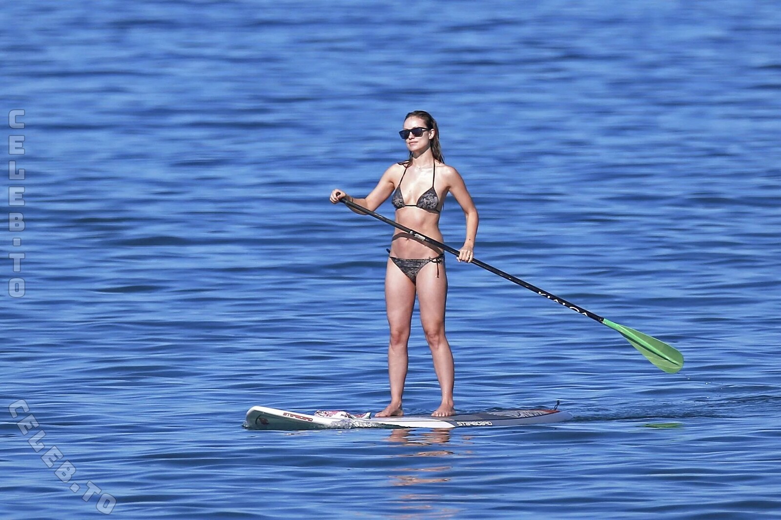 Olivia Wilde nude photo 9