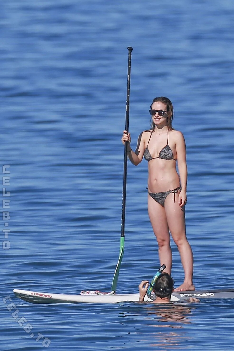 Olivia Wilde nude photo 16