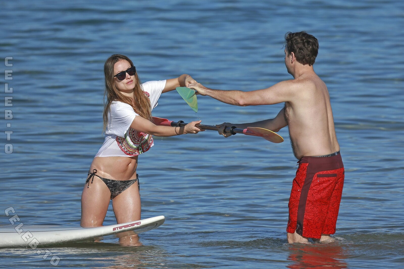 Olivia Wilde nude photo 18