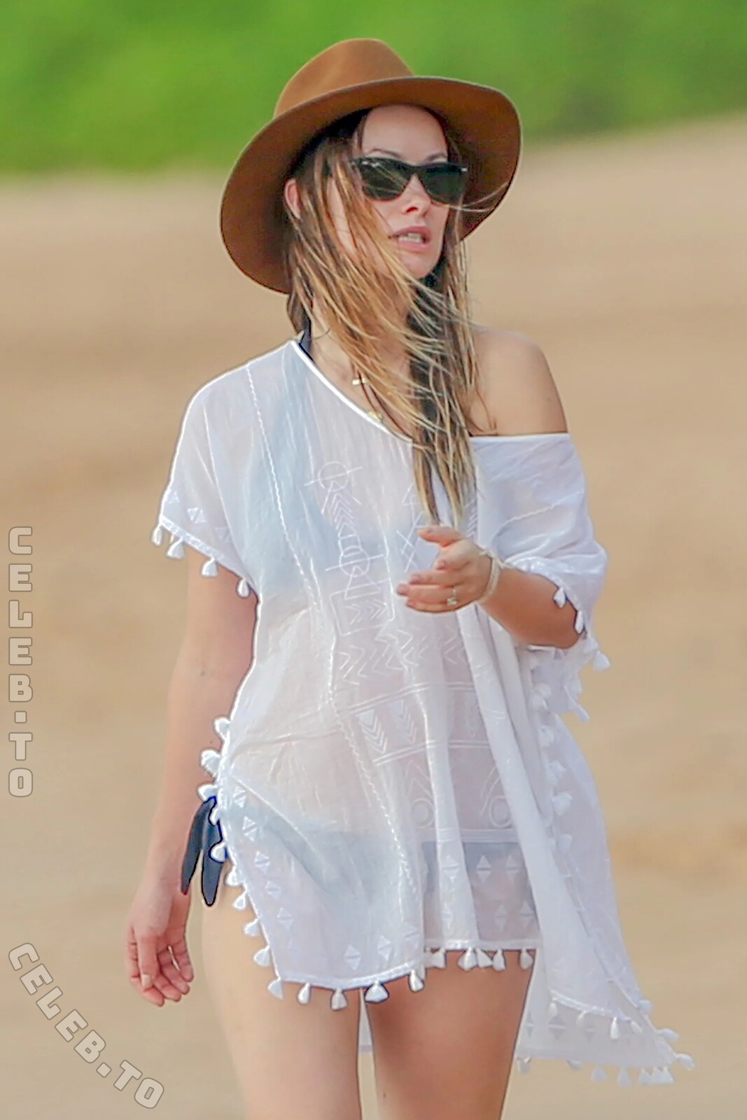Olivia Wilde nude photo 19