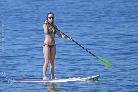 Olivia Wilde photo 6