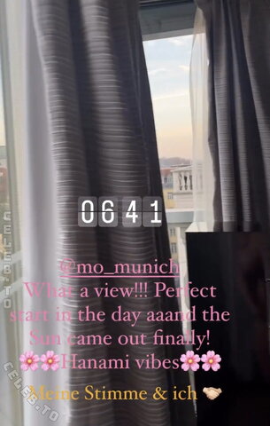 Palina Rojinski – to post #27: Naked reflection in the TV in the last second of the video