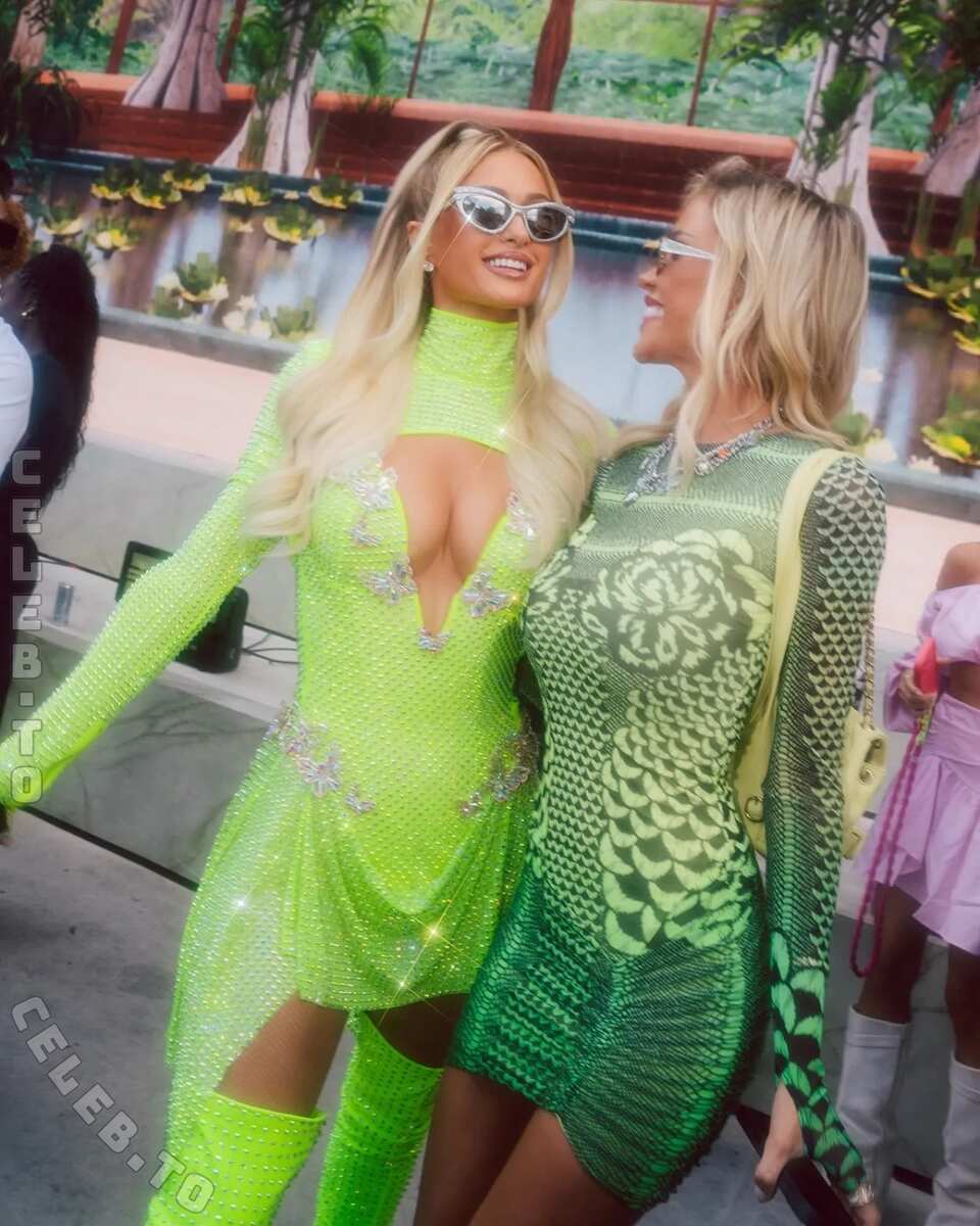 Paris Hilton nude photo 2