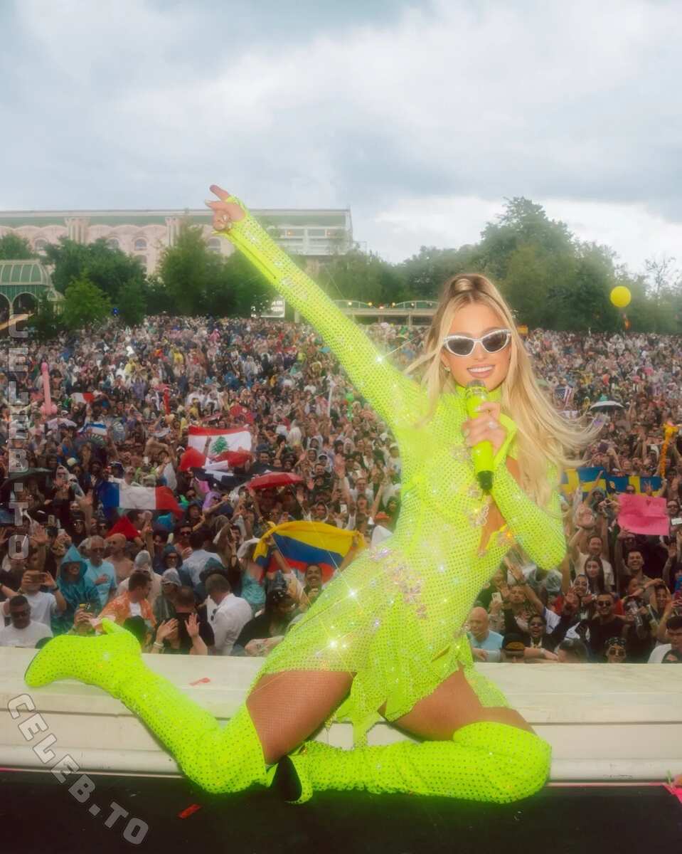 Paris Hilton nude photo 3