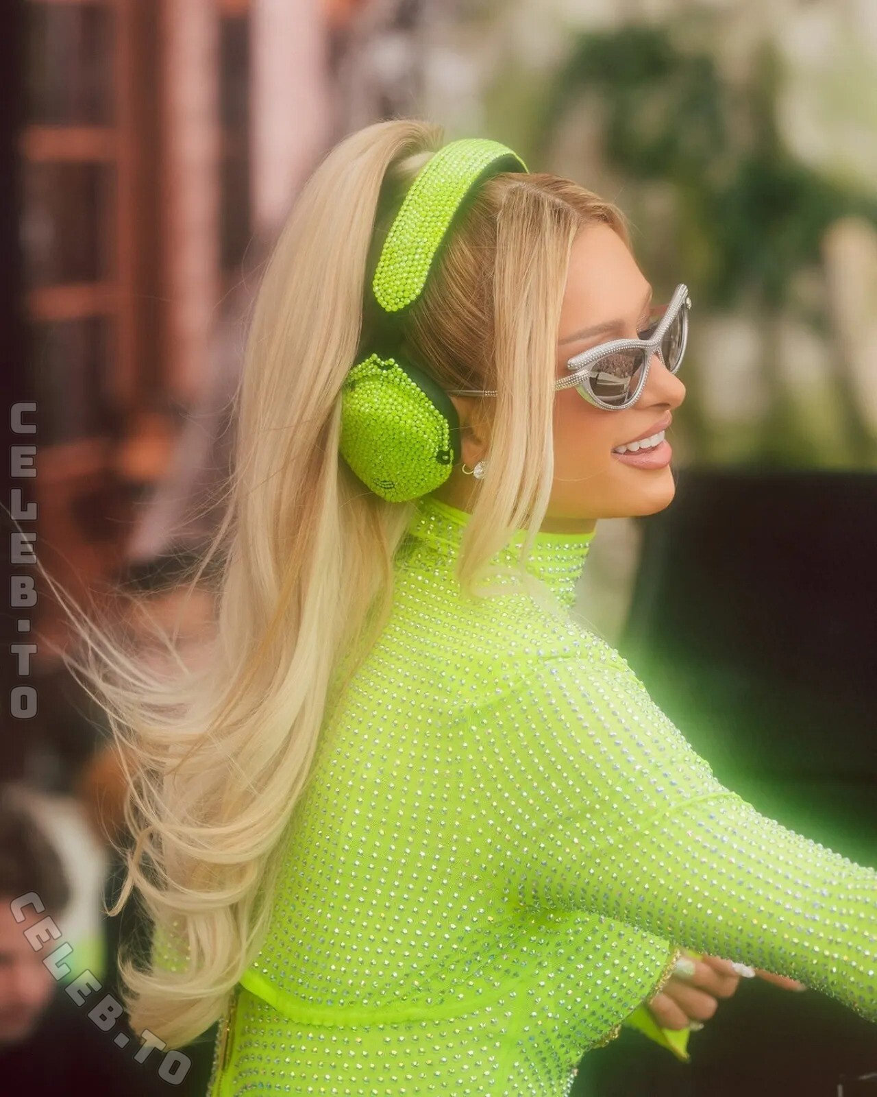 Paris Hilton nude photo 6