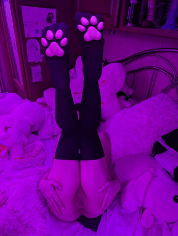petiteroxie New (19 photos)