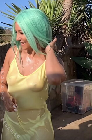 Regina Hixt nude photo 4