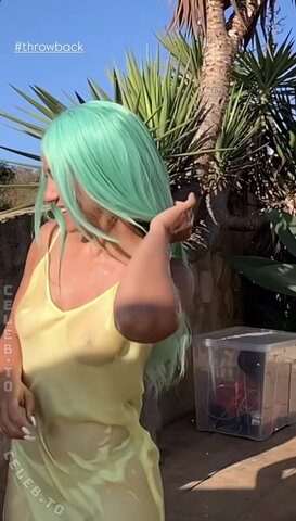 Regina Hixt nude photo 6
