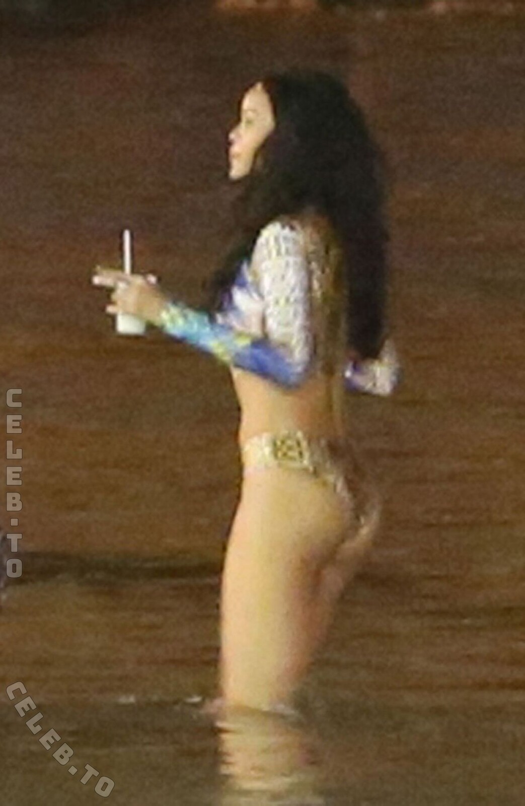 Rihanna nude photo 8