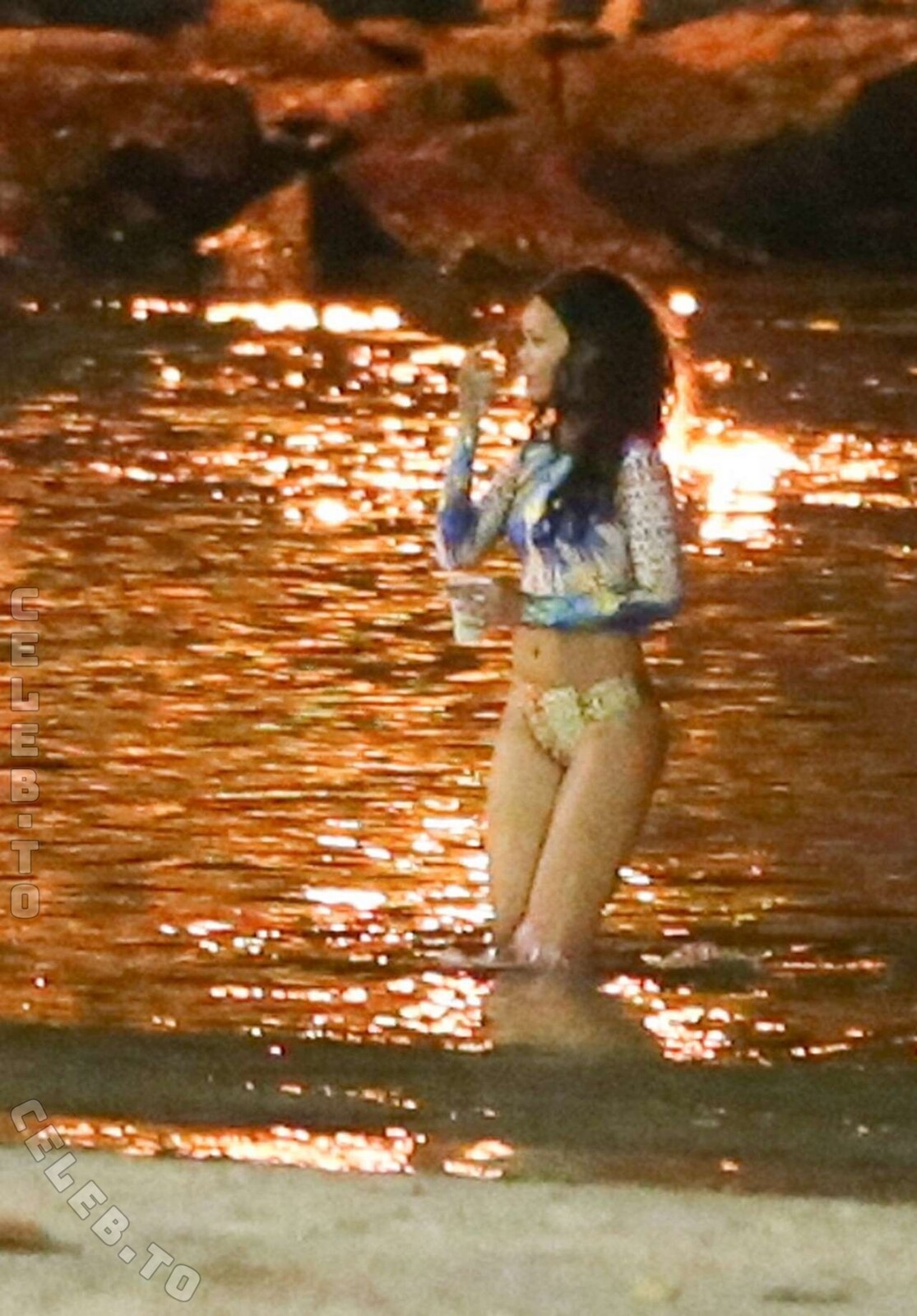 Rihanna nude photo 10