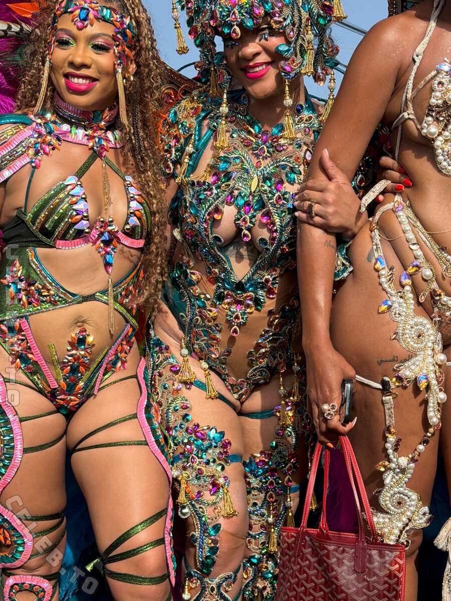 Rihanna nude photo 22