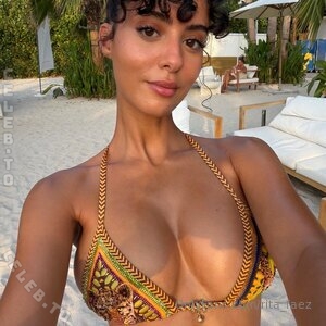 Rita Faez nude photo 3