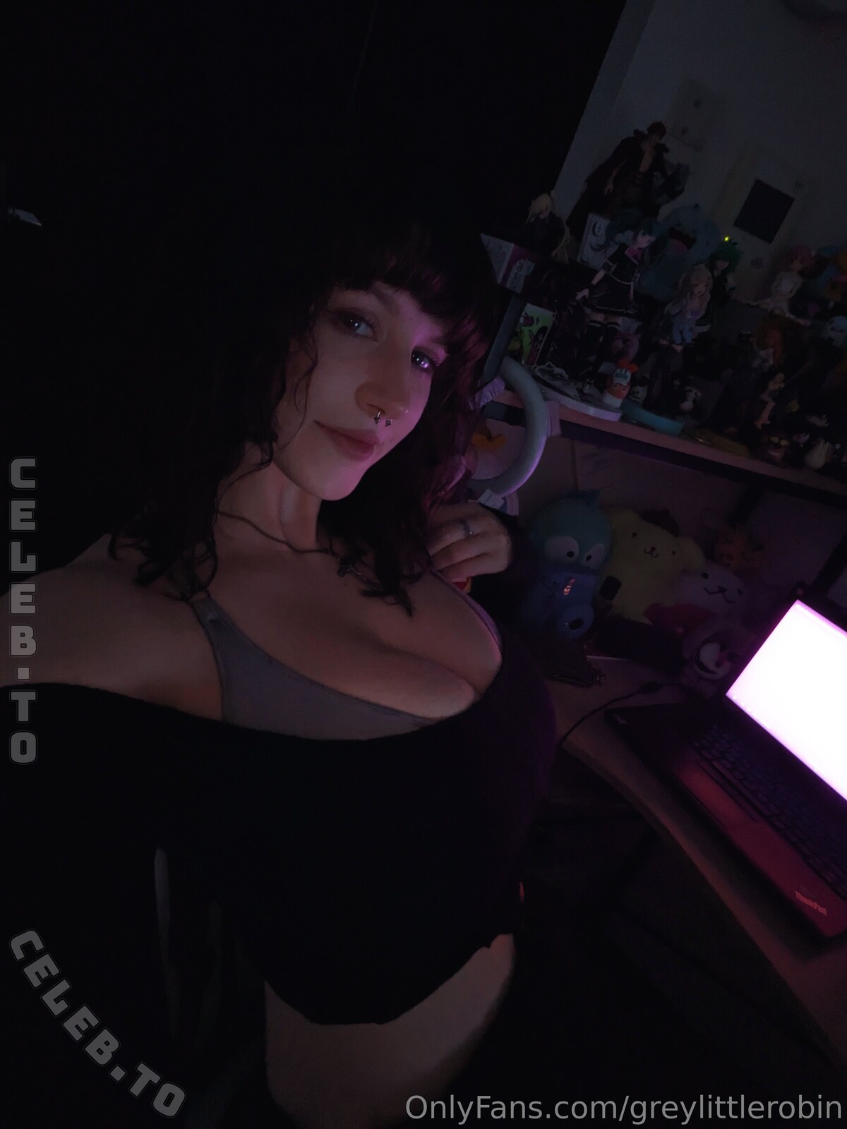 Robin Grey nude photo 3